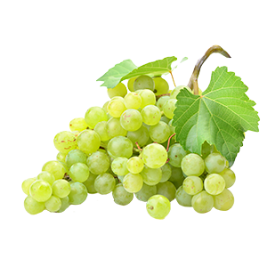 Bio-Weintrauben aus Sizilien, sonnengereift und süß